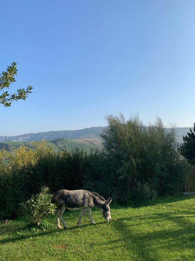 Relais B&B Betty Bike Sasso Feltrio Extérieur photo